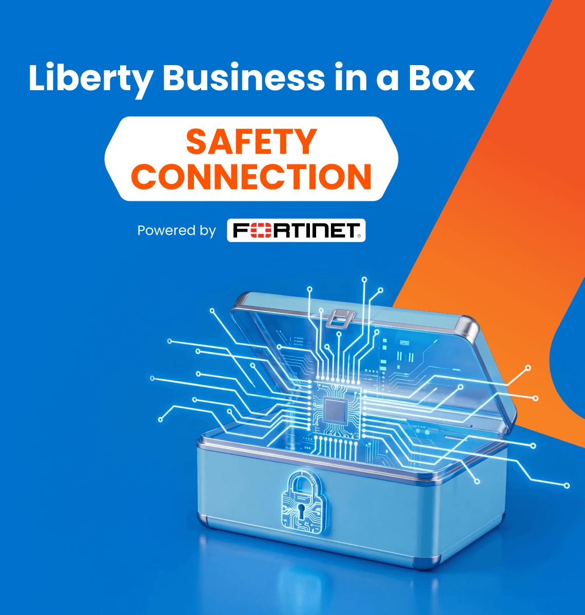 Liberty Business in a Box Safety Connection desktop